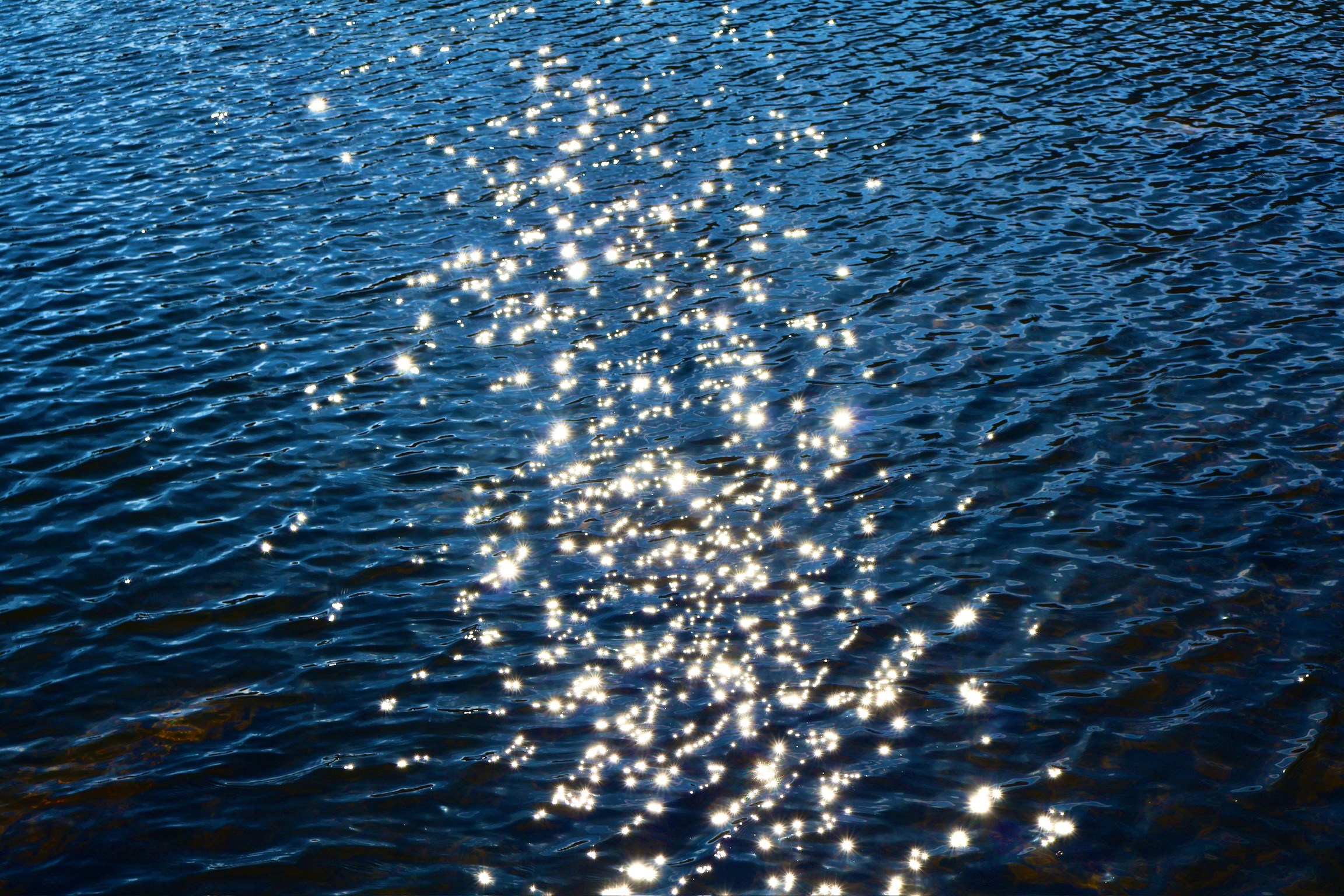 tidepool 3